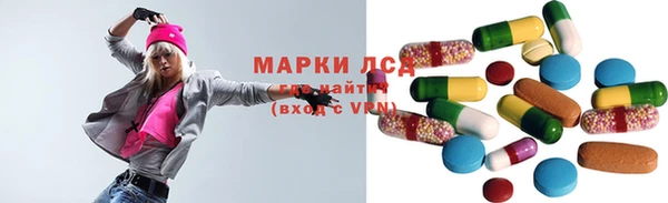 PSILOCYBIN Алзамай