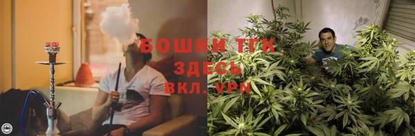 PSILOCYBIN Алзамай